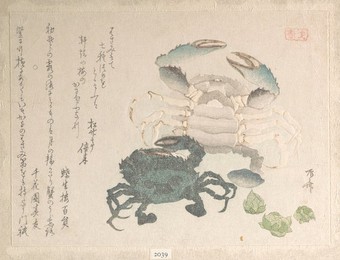 Image 327253919