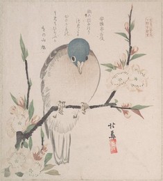 Image 327264716