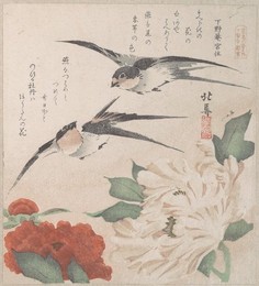 Image 327264757
