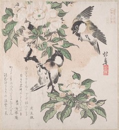 Image 327264758