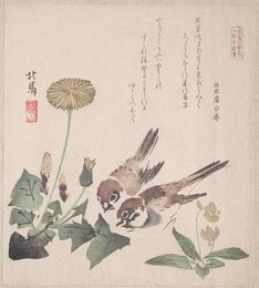 Image 327264759