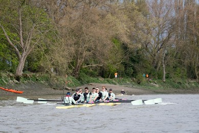 Image 327361325
