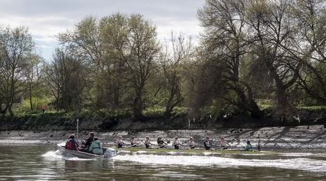 Image 327386086