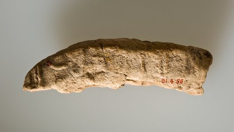 Image 327611004