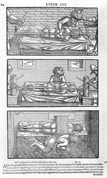 Image 327841732