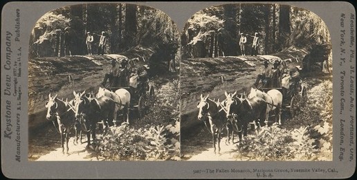 Group of 100 Stereograph Views of California Nature and Landscapes With a Focus on Yosemite, 1860