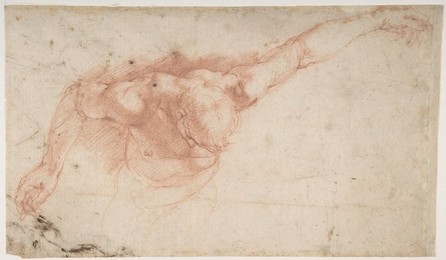 Image 328126290