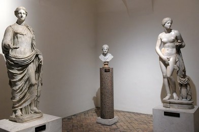 Image 328140941