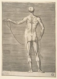 Image 328140991
