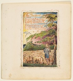 Image 328162620