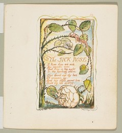 Image 328163571