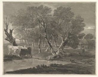 Image 328189139