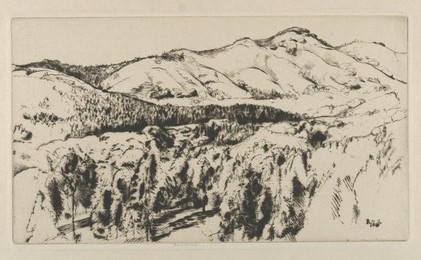 Image 328318156