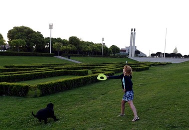 Image 328645676