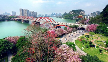 Image 329113809
