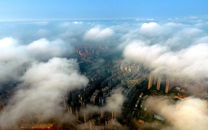 Image 332246155