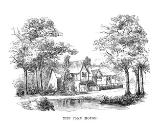 Image 334128555