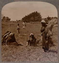 Image 334191996