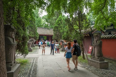 Image 334249769
