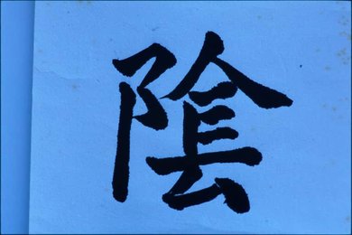 Image 338379087