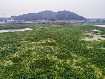 Image 339403056