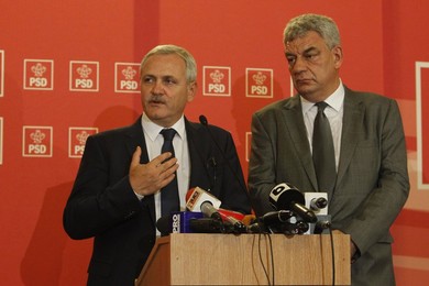 Image 339613818