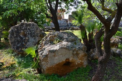 Image 340717768