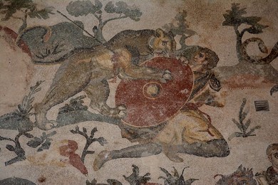 Image 340717824