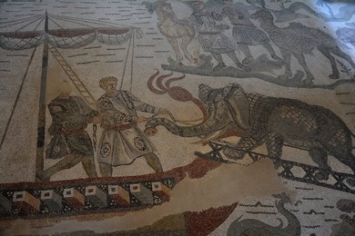 Image 340717845