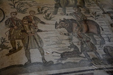 Image 340717847