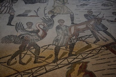 Image 340717867