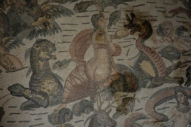 Image 340717870