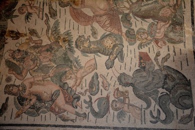 Image 340717904