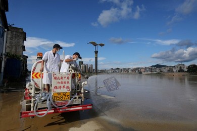 Image 340720470