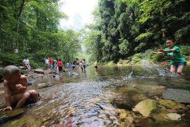 Image 340816721
