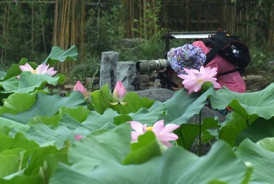 Image 340915958