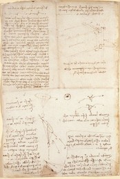 Image 341155882