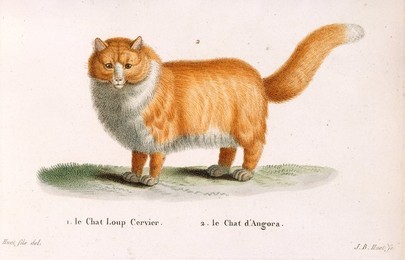 Image 341202860