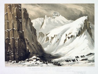 Image 341208505