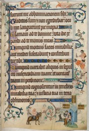 Image 341217678