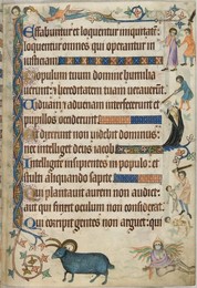 Image 341256335