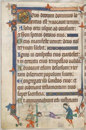 Image 341261107