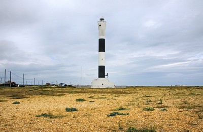 Dungeness National Nature Reserve