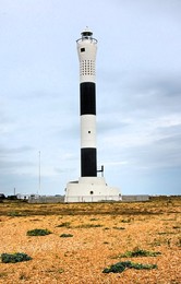 Dungeness National Nature Reserve