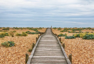 Dungeness National Nature Reserve