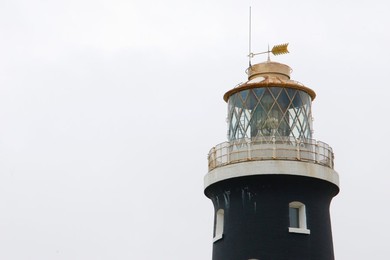 Dungeness National Nature Reserve