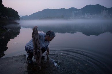 Image 342955473