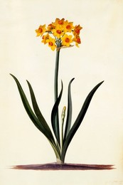 Image 343944566