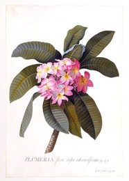Image 343944750