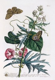 Image 343945139